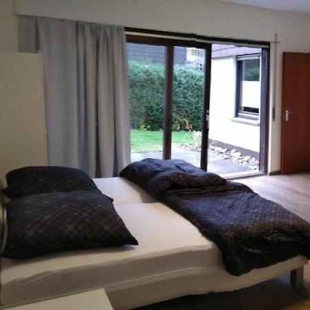 Kleine Ferienwohnung, Einzimmeraparment In Altenkirchen Almersbach エクステリア 写真