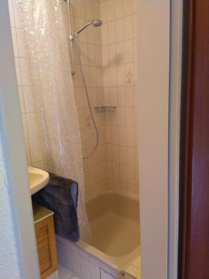 Kleine Ferienwohnung, Einzimmeraparment In Altenkirchen Almersbach エクステリア 写真